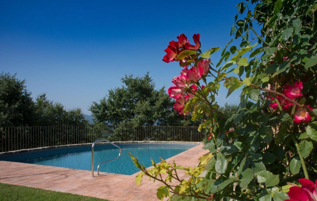 Villa Tinaia - Homelike Villas Molinelli Esterno foto